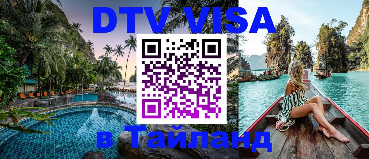 Сколько стоит DTV виза — актуальные цены, оформление даже без документов - Архангельск  08.01.2026 